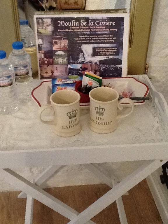 Kergrist-Moelou Moulin De La Civiere Bed & Breakfast エクステリア 写真