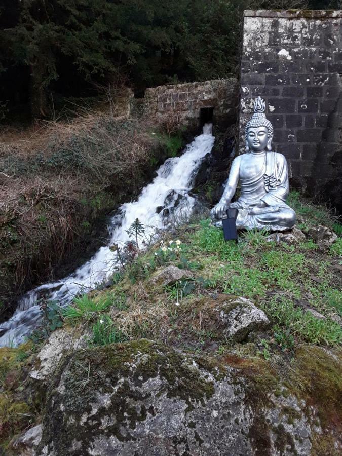 Kergrist-Moelou Moulin De La Civiere Bed & Breakfast エクステリア 写真